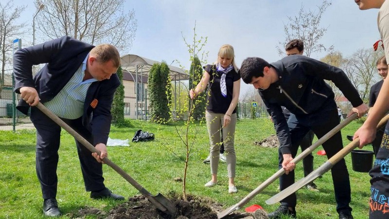 Посадили 56 деревьев. Школьники сажают деревья. Уборка территории школы. Высадка деревьев Предгорный район. Ученики в саду.